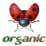 Organic Music Festival