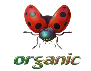 Organic Music Festival