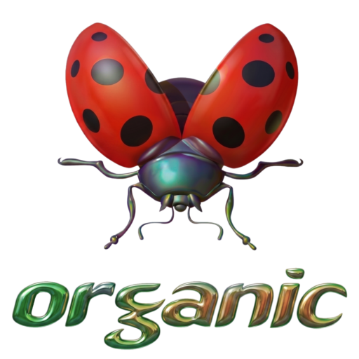cropped-Organic-logo-2027.png Organic Music Festival