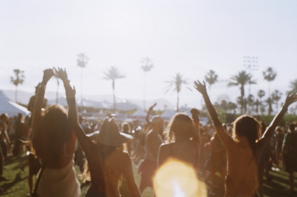 The Impact of Organic ’96 on Festivals